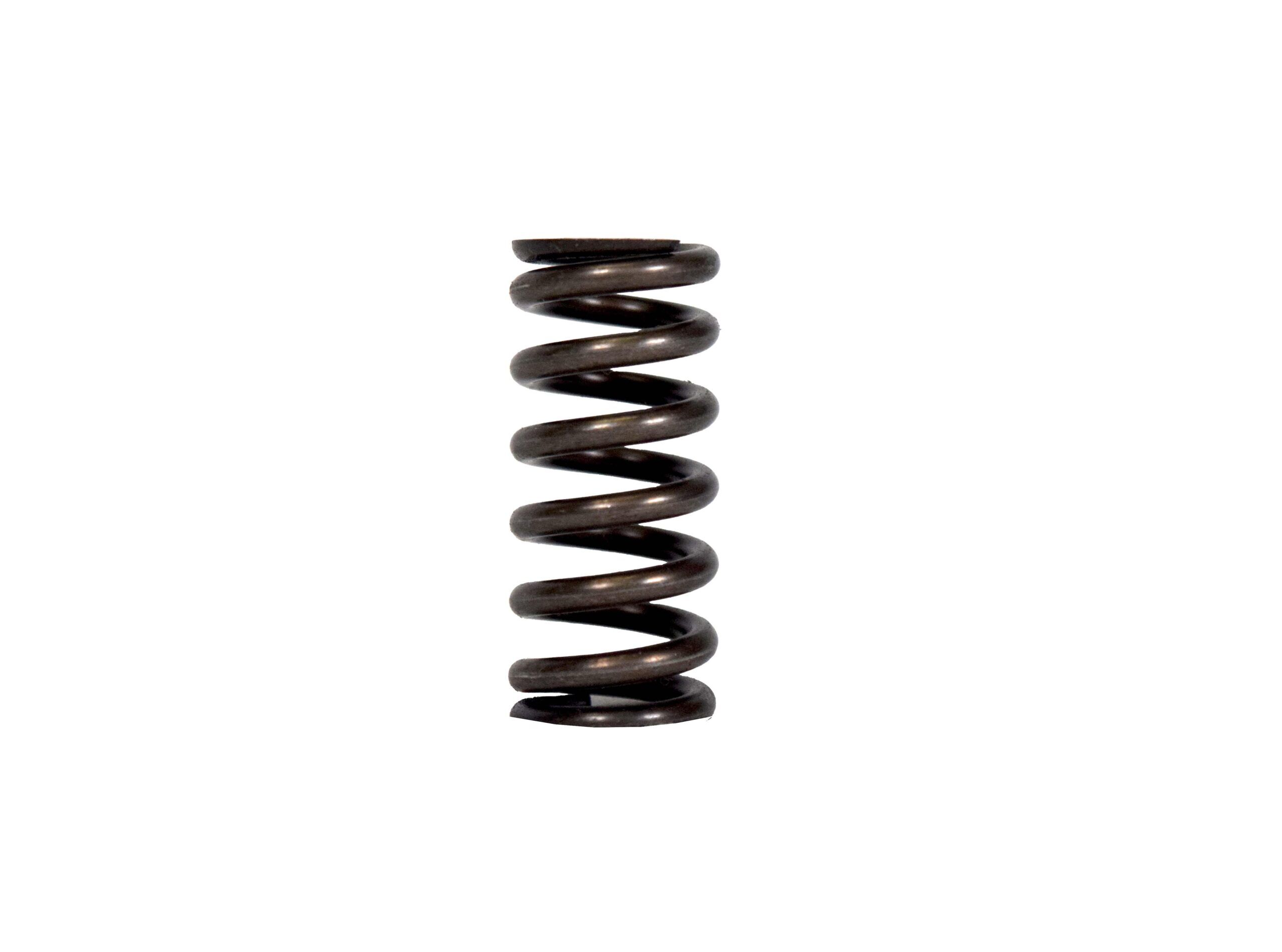 PPLANPX16-0130-45_Service20Parts-01 Spring - Image 1